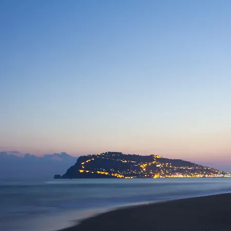 Kaila Krizantem アランヤ