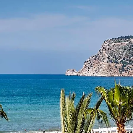 Kaila Krizantem Alanya