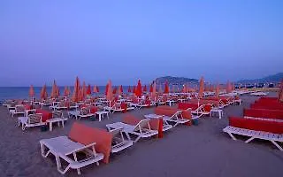 Kaila Krizantem Alanya