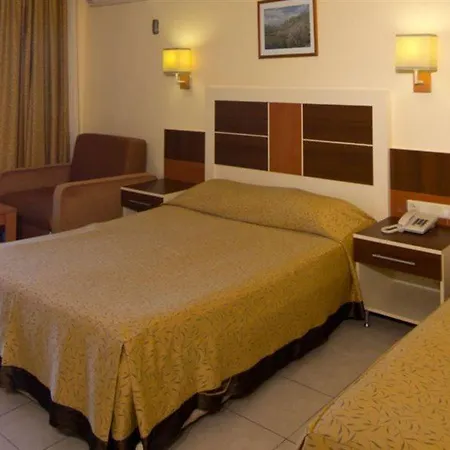 Kaila Krizantem アランヤ