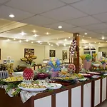 Kaila Krizantem Alanya