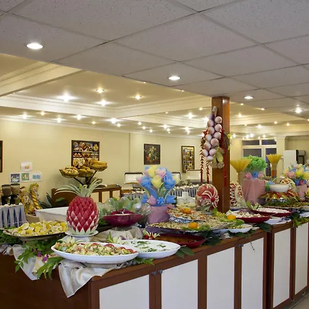 Kaila Krizantem Alanya